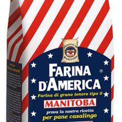 Farina Manitoba