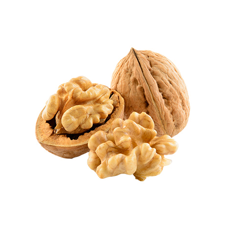 Noci