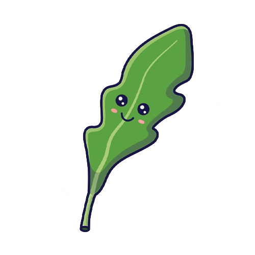 Rucola