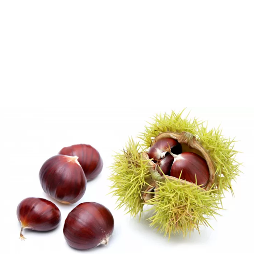 Castagne