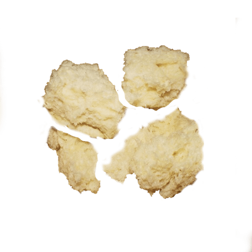 Mollica di Pane
